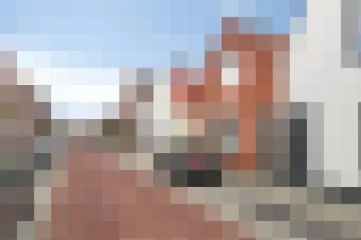 Wilhelminastraat 14 Dinteloord thumbnail 37