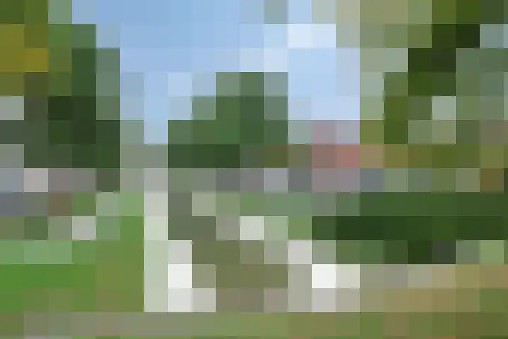 Wilhelminastraat 14 Dinteloord thumbnail 38
