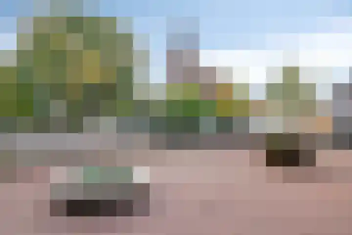 Wilhelminastraat 14 Dinteloord thumbnail 39