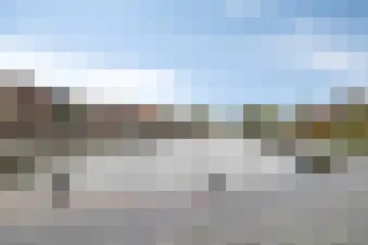 Wilhelminastraat 14 Dinteloord thumbnail 40