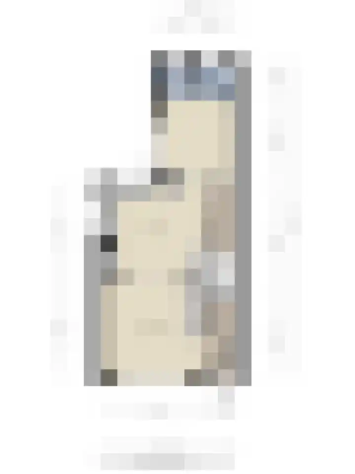 Wilhelminastraat 14 Dinteloord thumbnail 41