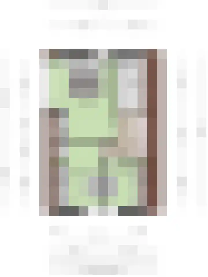 Wilhelminastraat 14 Dinteloord thumbnail 42