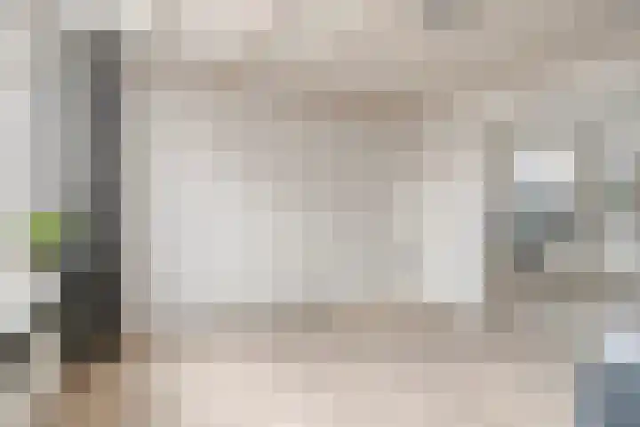 Wilhelminastraat 14 Dinteloord thumbnail 7