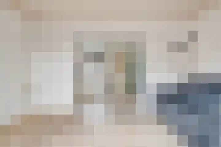 Wilhelminastraat 14 Dinteloord thumbnail 8