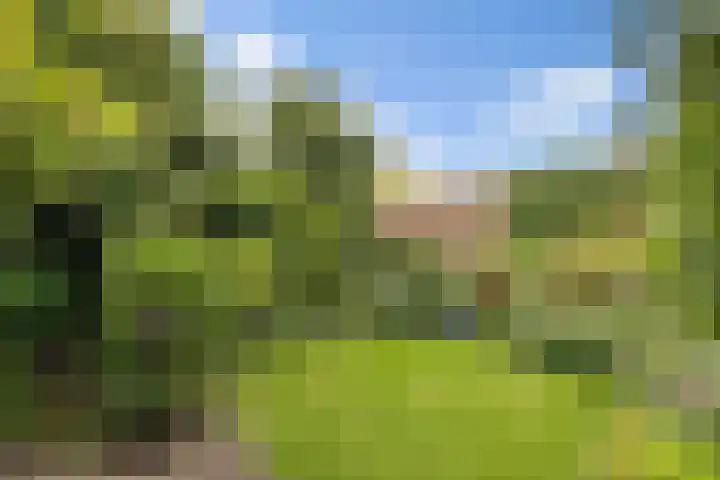 Wilhelminastraat 14 Huissen thumbnail 15