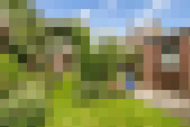 Wilhelminastraat 14 Huissen thumbnail 16