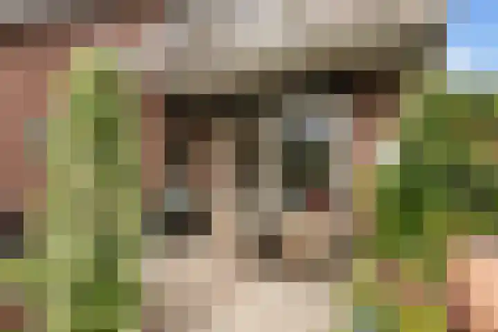 Wilhelminastraat 14 Huissen thumbnail 17