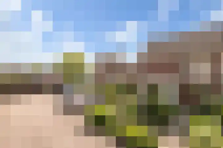 Wilhelminastraat 14 Huissen thumbnail 18