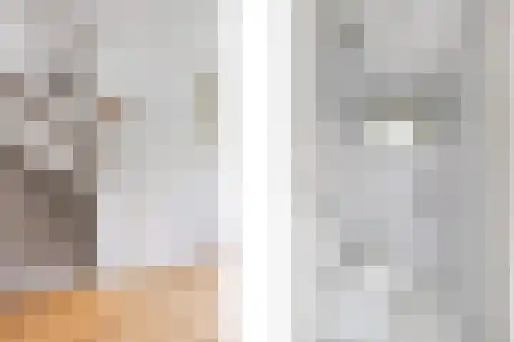 Wilhelminastraat 14 Huissen thumbnail 19