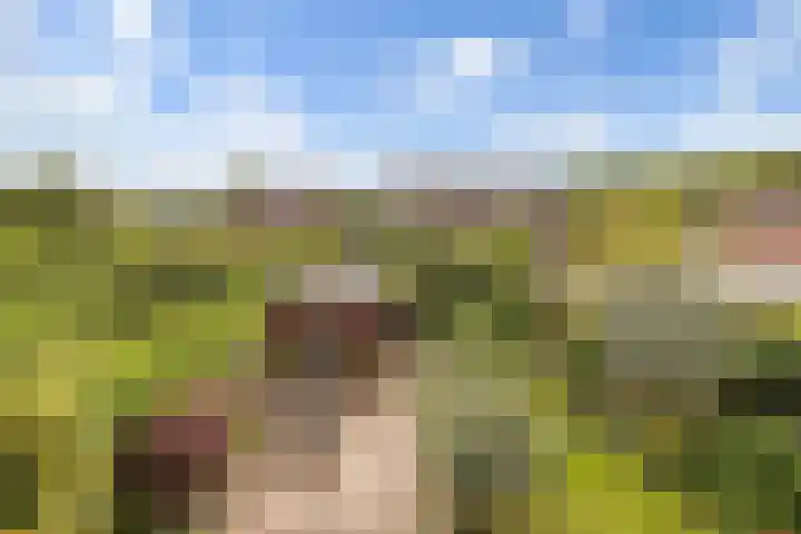 Wilhelminastraat 14 Huissen thumbnail 23