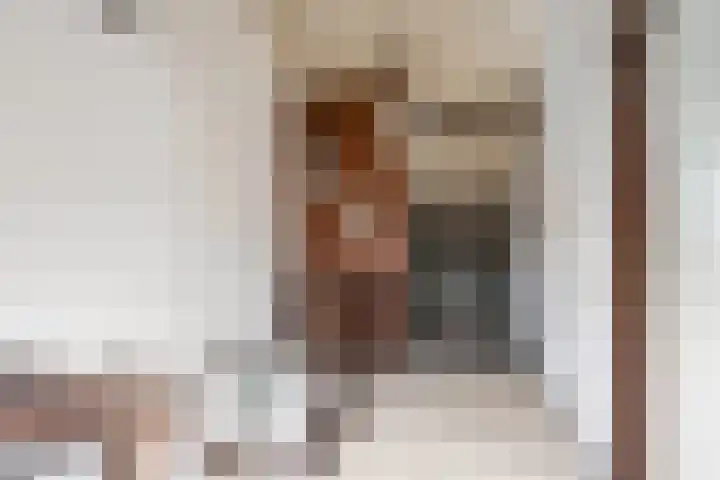Wilhelminastraat 14 Huissen thumbnail 31