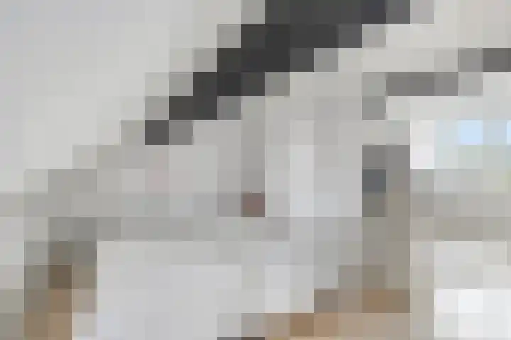 Wilhelminastraat 14 Huissen thumbnail 33