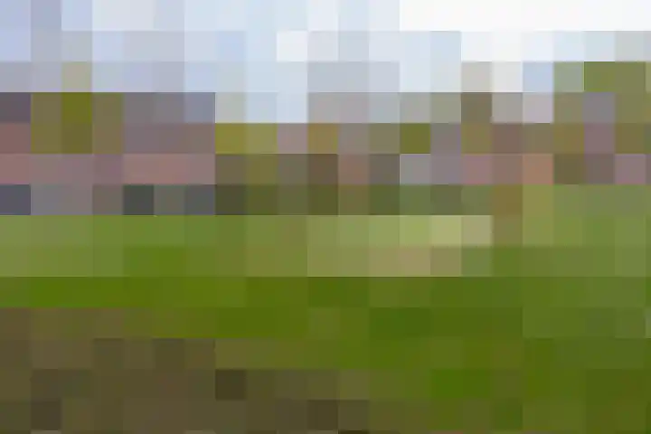 Wilhelminastraat 14 Huissen thumbnail 36