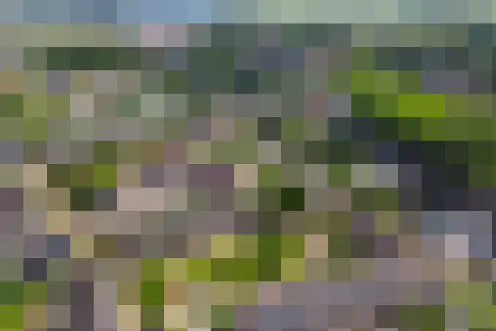 Wilhelminastraat 14 Huissen thumbnail 37
