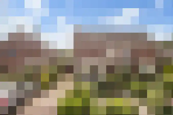 Wilhelminastraat 14 Huissen thumbnail 4