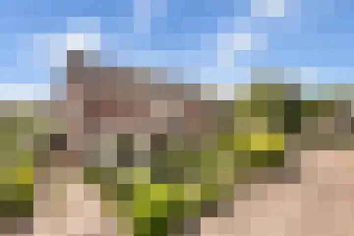 Wilhelminastraat 14 Huissen thumbnail 42