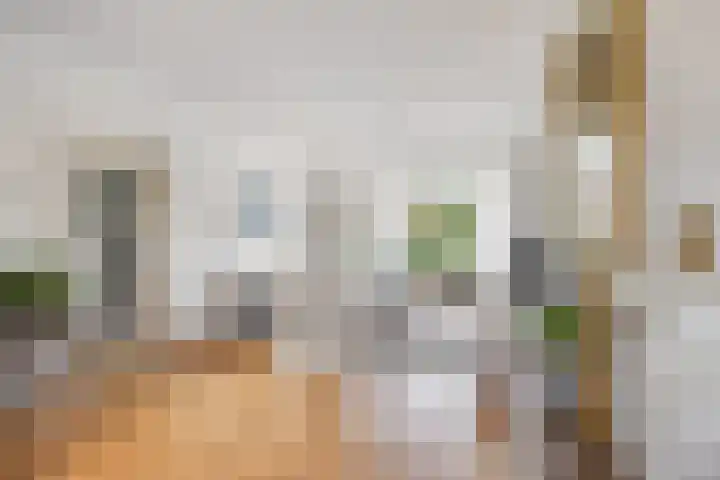 Wilhelminastraat 14 Huissen thumbnail 7