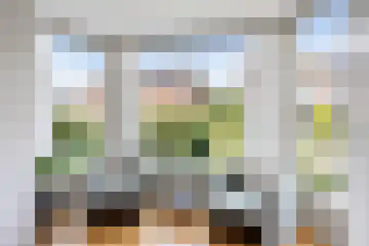 Wilhelminastraat 14 Huissen thumbnail 9