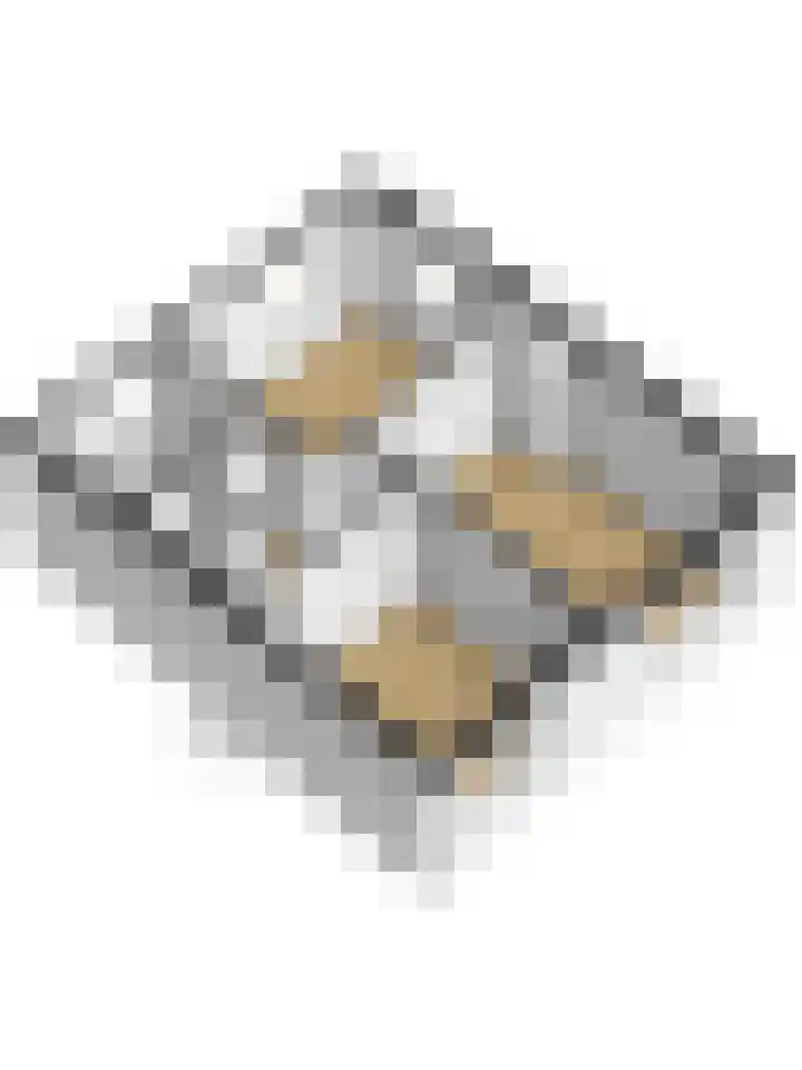 Wilhelminastraat 14 Kortgene thumbnail 35