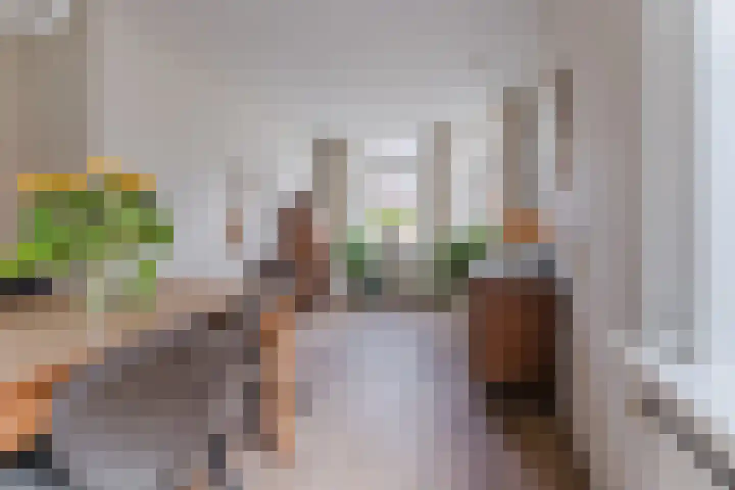 Wilhelminastraat 14 Krommenie thumbnail 11