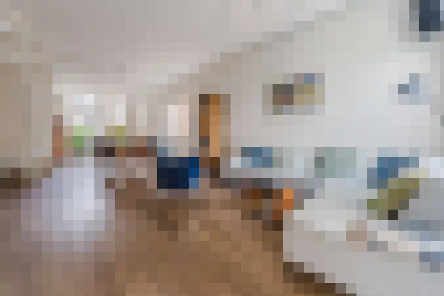 Wilhelminastraat 14 Krommenie thumbnail 16