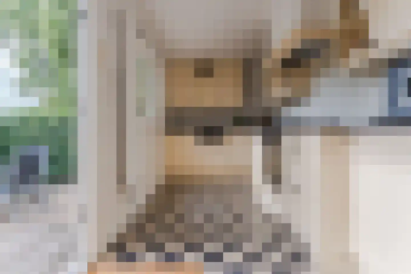 Wilhelminastraat 14 Krommenie thumbnail 18