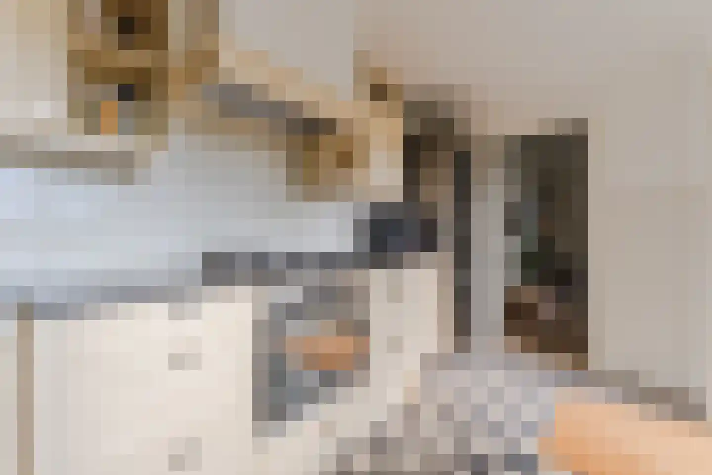 Wilhelminastraat 14 Krommenie thumbnail 19