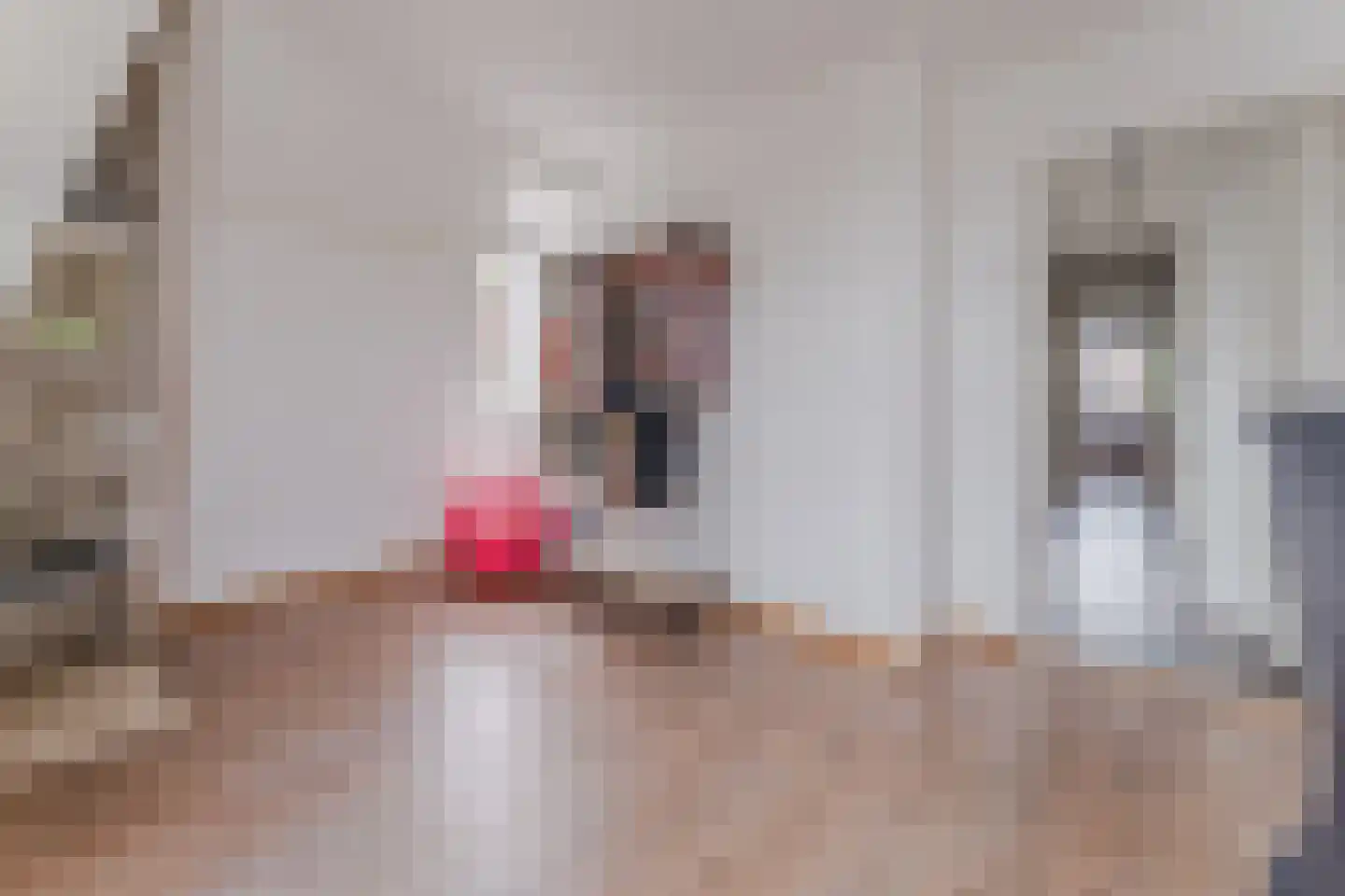 Wilhelminastraat 14 Krommenie thumbnail 31