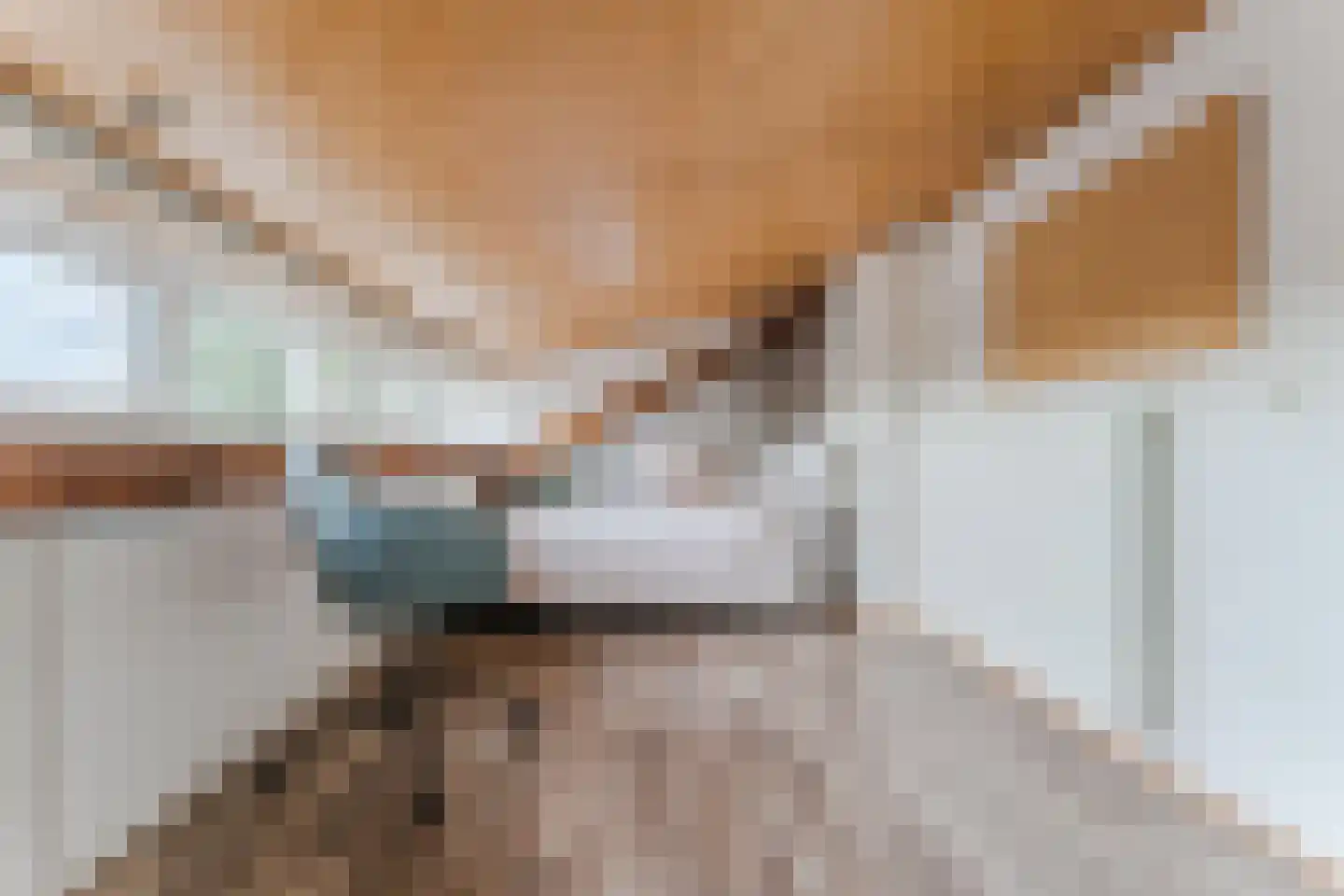 Wilhelminastraat 14 Krommenie thumbnail 39