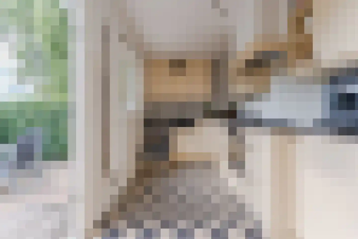 Wilhelminastraat 14 Krommenie thumbnail 4