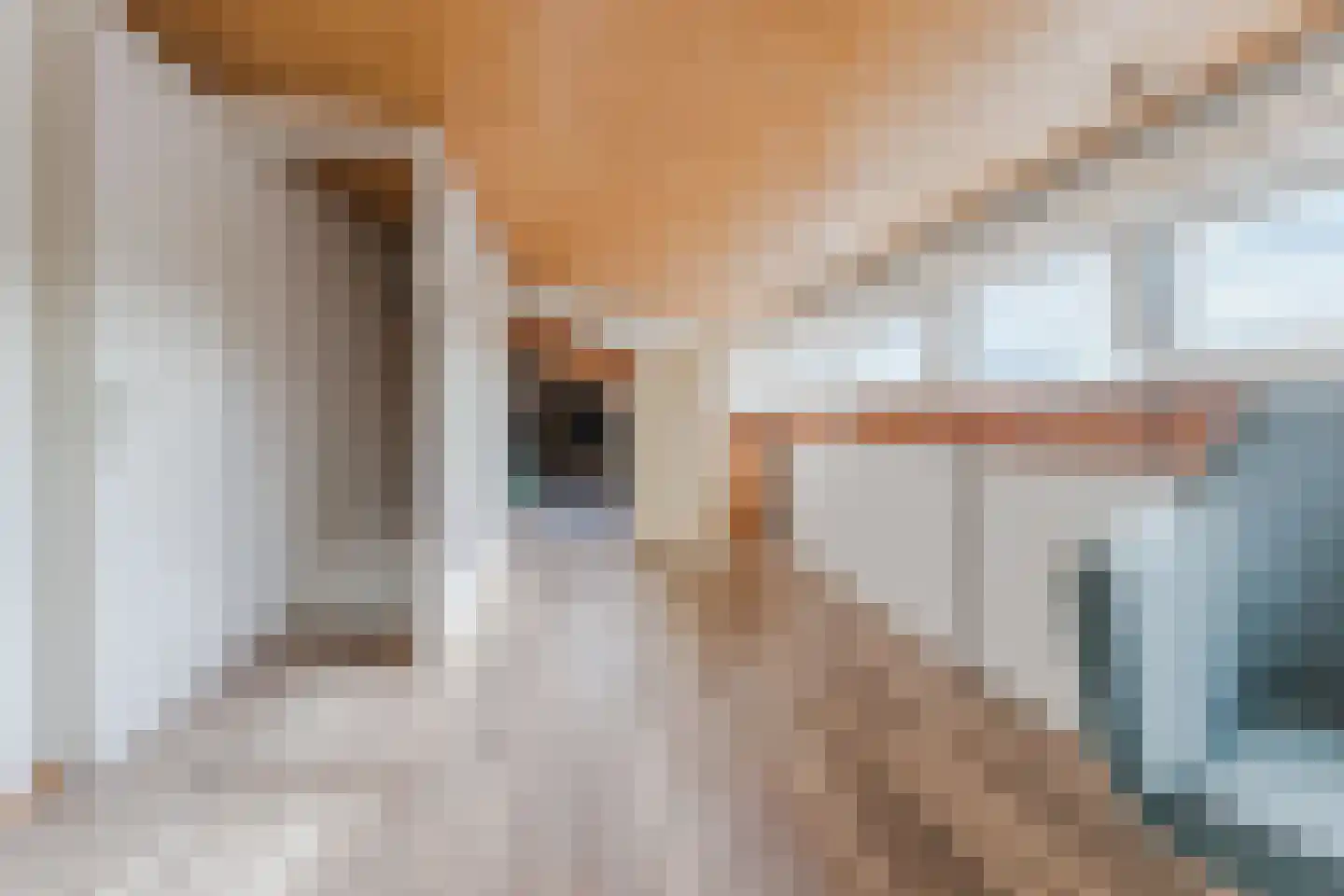 Wilhelminastraat 14 Krommenie thumbnail 41