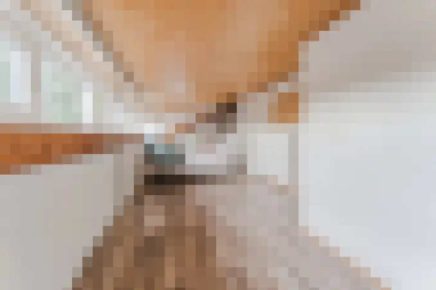 Wilhelminastraat 14 Krommenie thumbnail 44