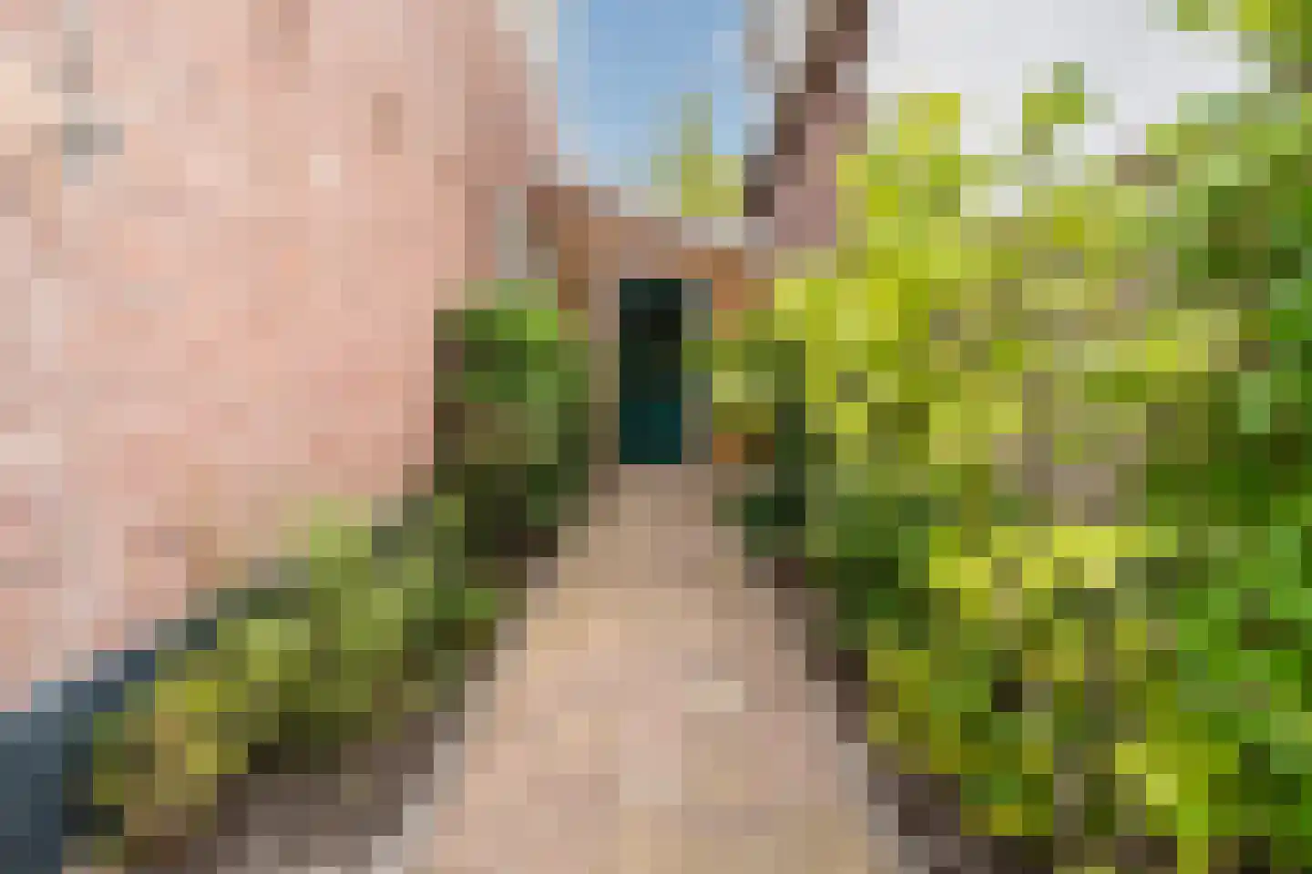 Wilhelminastraat 14 Krommenie thumbnail 48