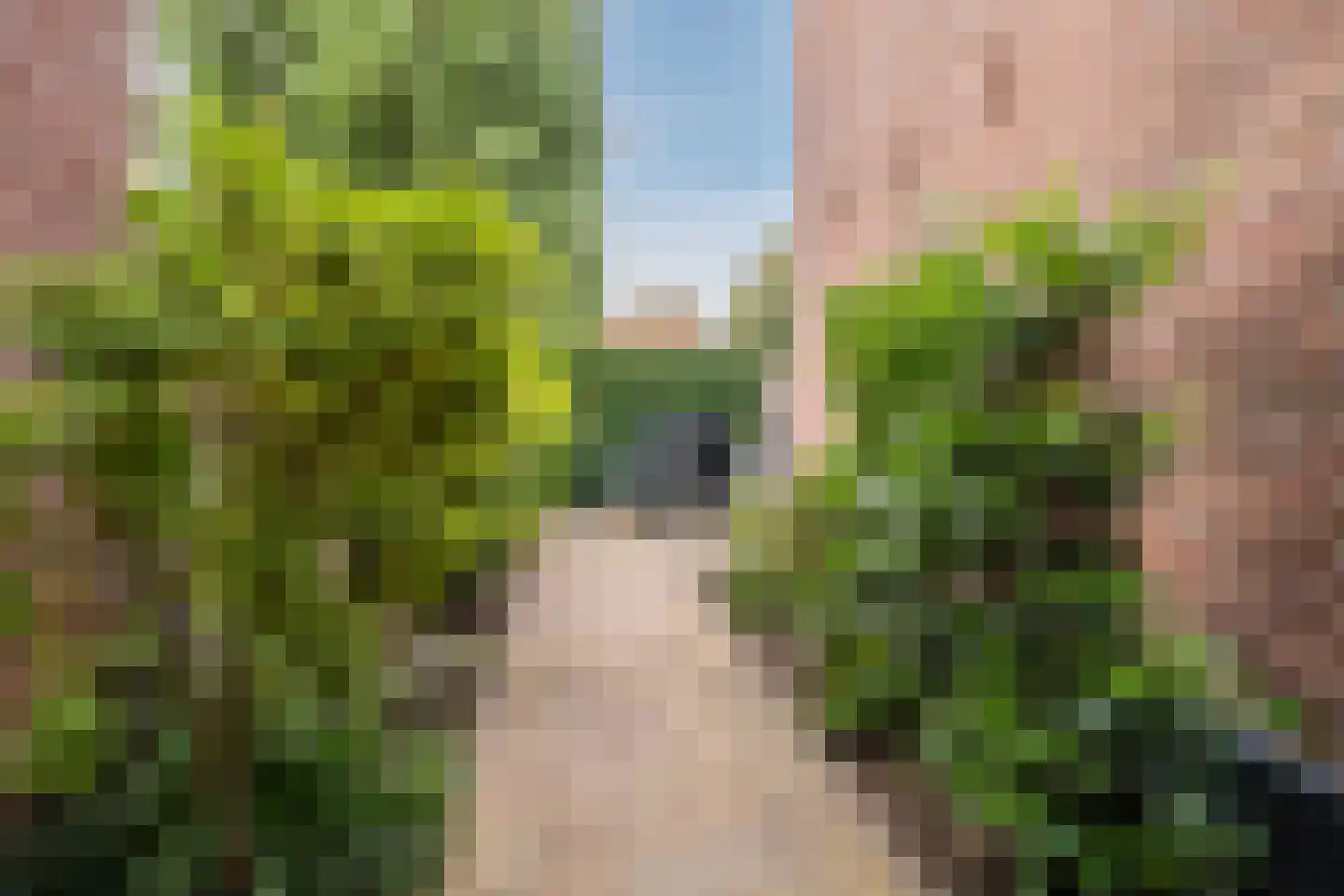 Wilhelminastraat 14 Krommenie thumbnail 49