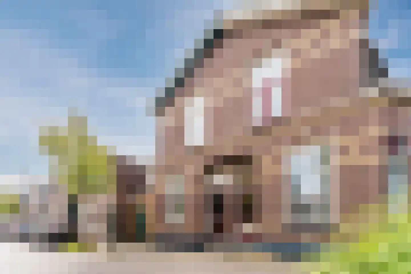 Wilhelminastraat 14 Krommenie thumbnail 58