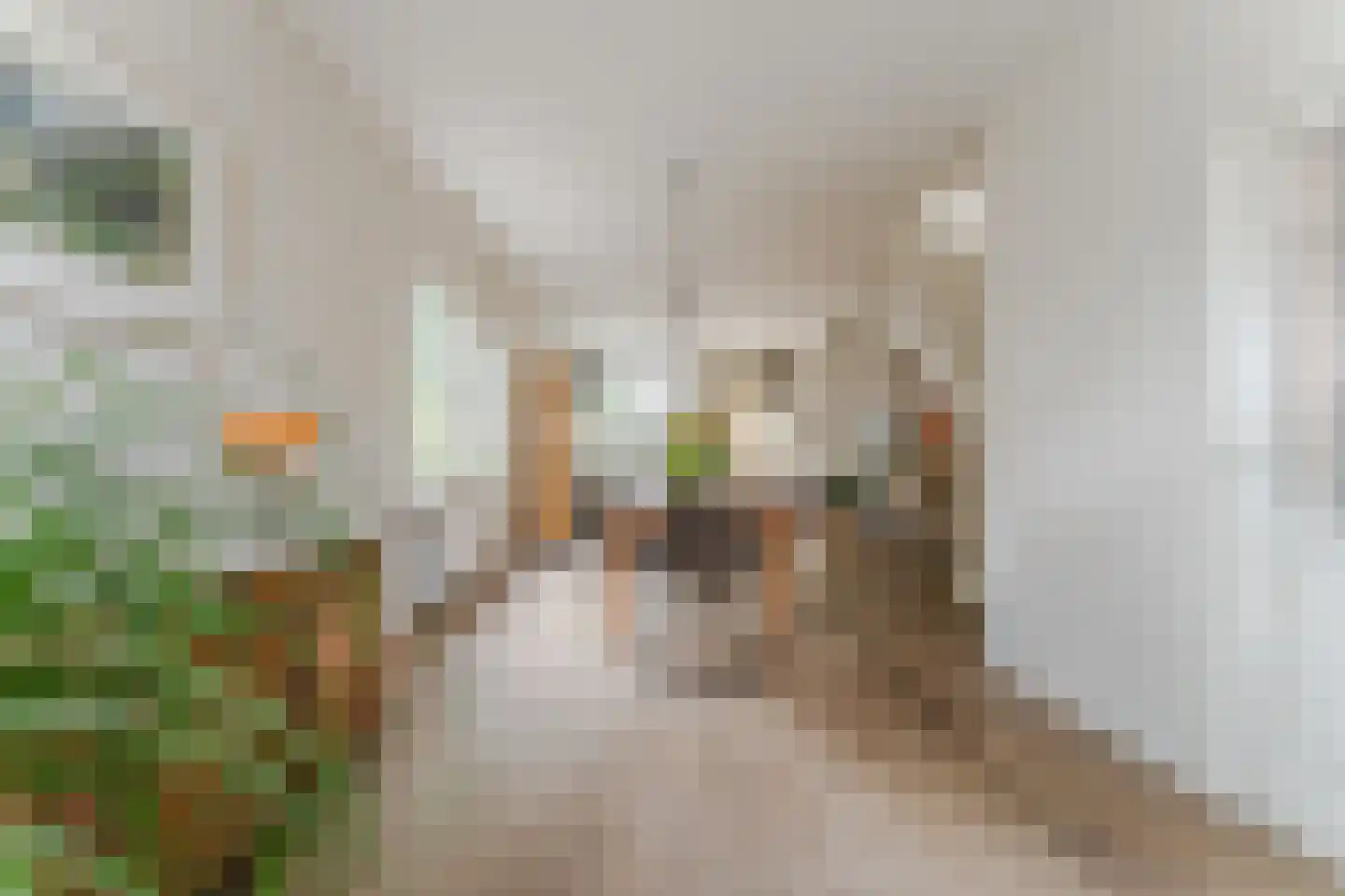 Wilhelminastraat 14 Krommenie thumbnail 6