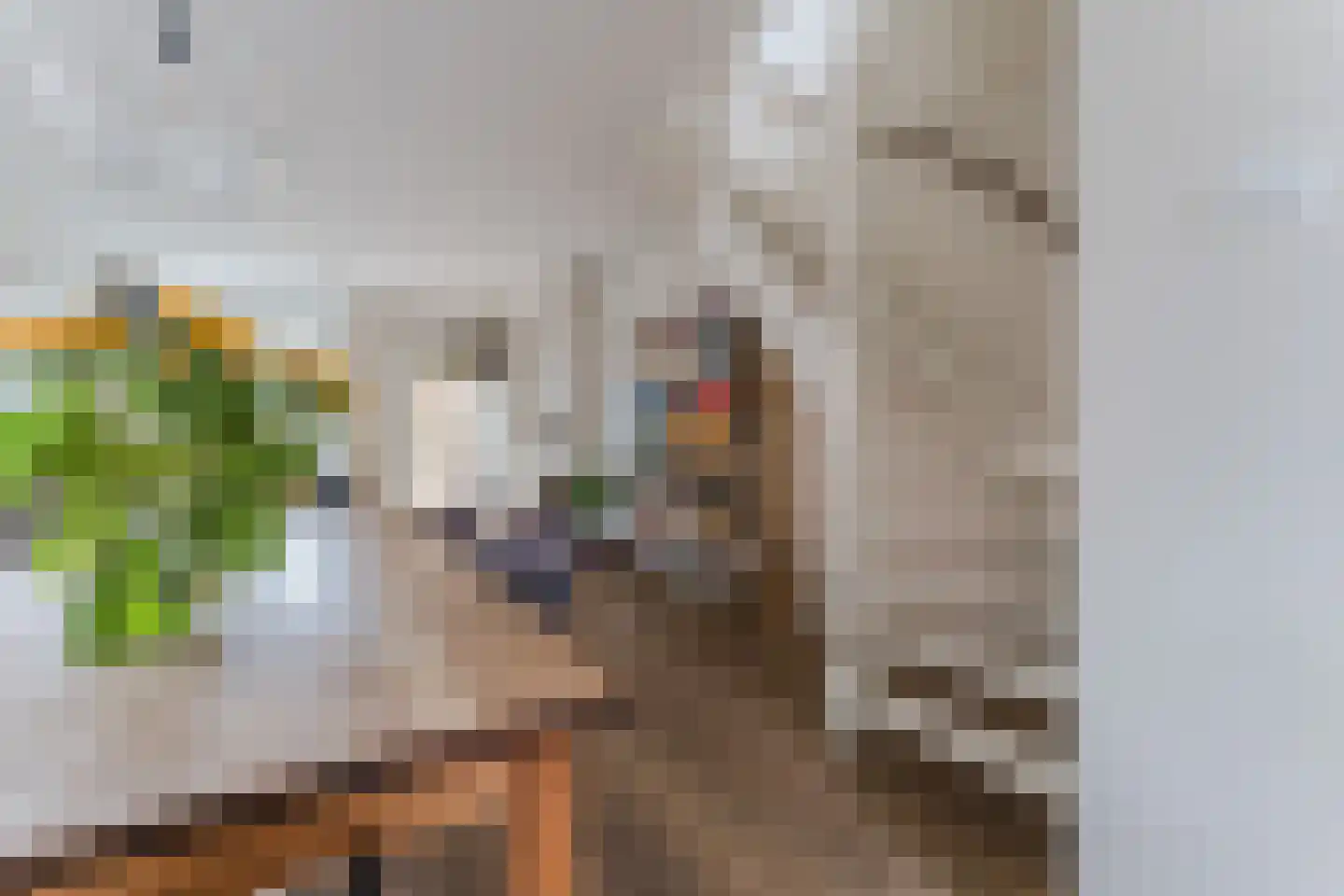Wilhelminastraat 14 Krommenie thumbnail 9