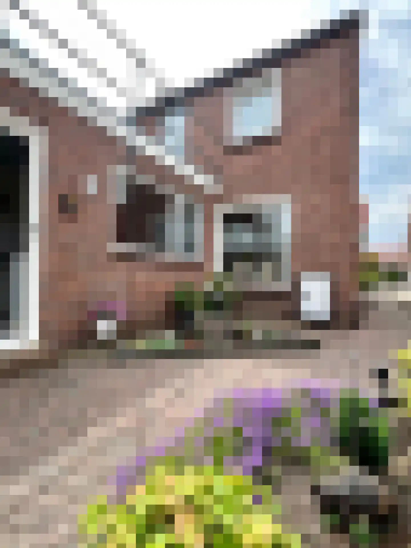 Wilhelminastraat 14 Montfoort thumbnail 17