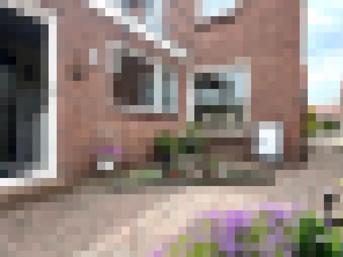 Wilhelminastraat 14 Montfoort thumbnail 18