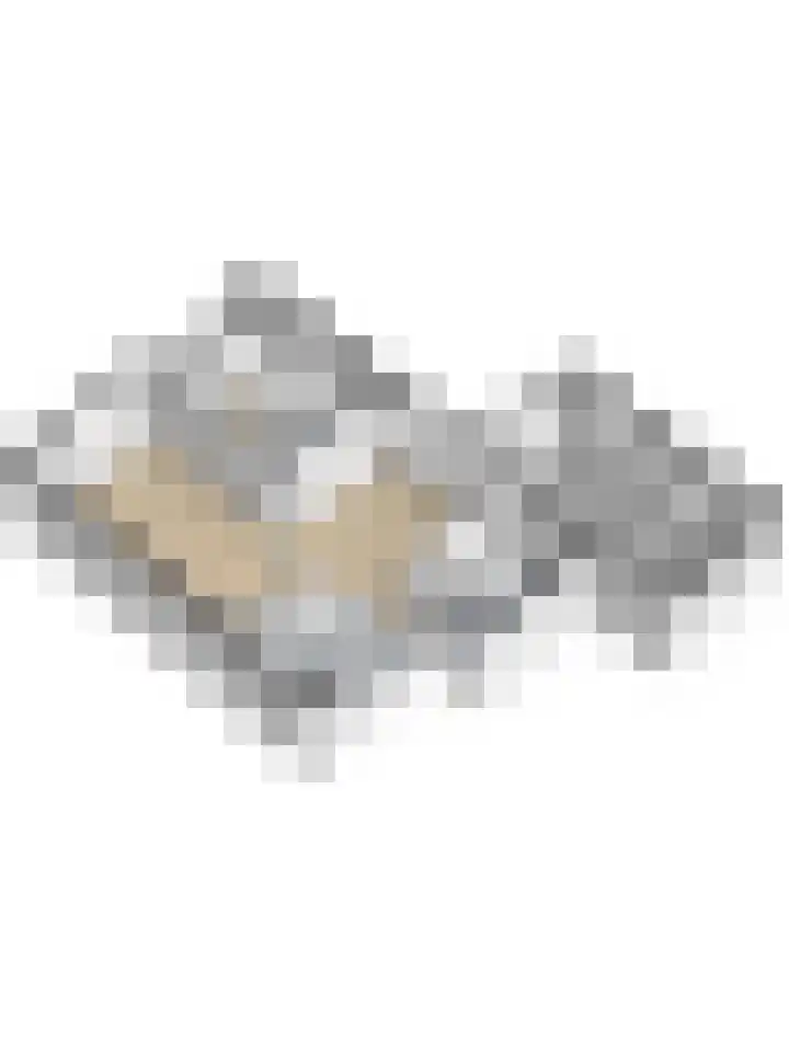 Wilhelminastraat 141 Kortgene thumbnail 35