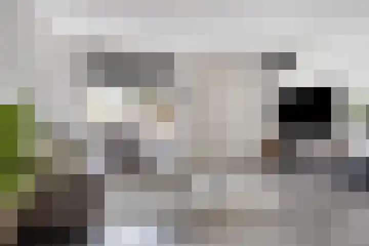 Wilhelminastraat 148 Hoogeveen thumbnail 11