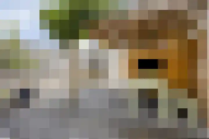 Wilhelminastraat 148 Hoogeveen thumbnail 23