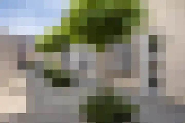 Wilhelminastraat 148 Hoogeveen thumbnail 5