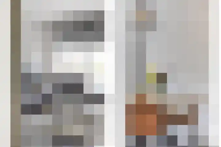 Wilhelminastraat 148 Hoogeveen thumbnail 9