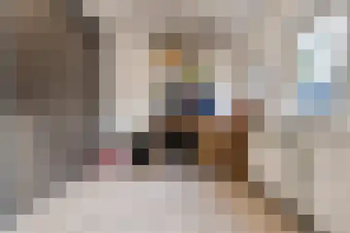 Wilhelminastraat 15 Boekel thumbnail 13