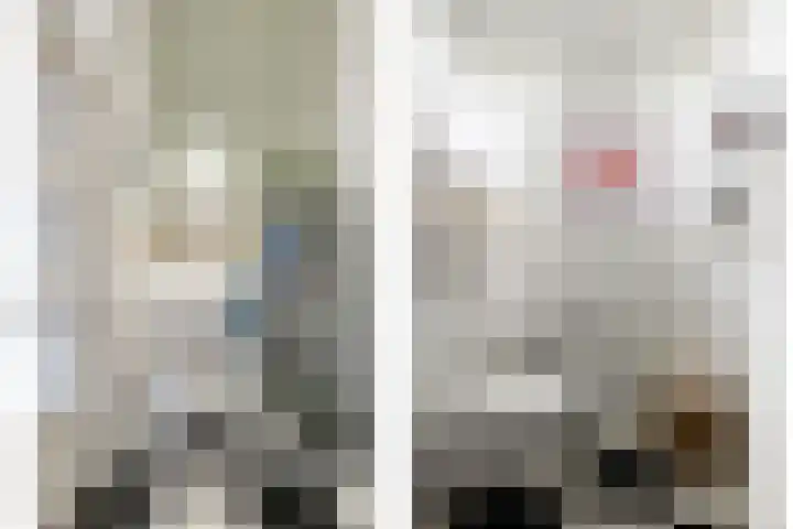 Wilhelminastraat 15 Boekel thumbnail 14