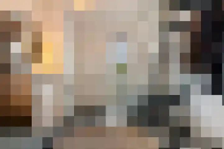 Wilhelminastraat 15 Boekel thumbnail 15