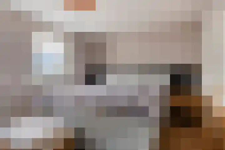 Wilhelminastraat 15 Boekel thumbnail 16