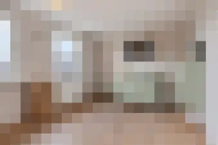 Wilhelminastraat 15 Boekel thumbnail 18