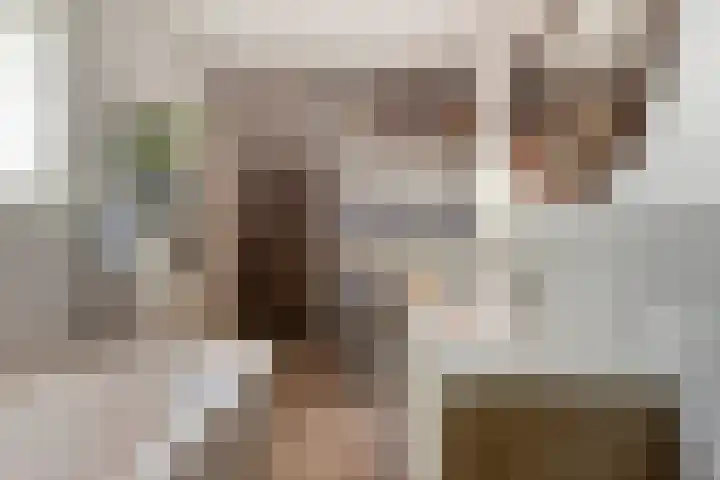Wilhelminastraat 15 Boekel thumbnail 22